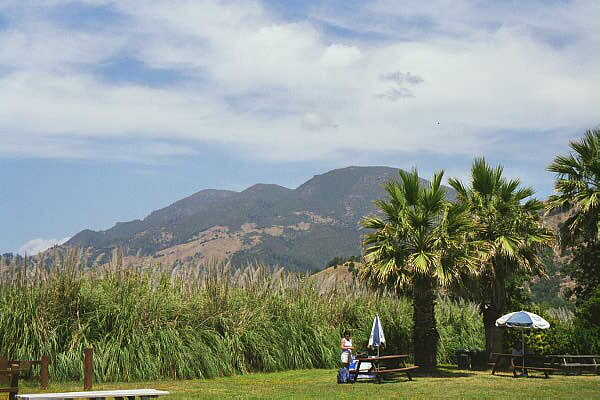 Mt St Helena